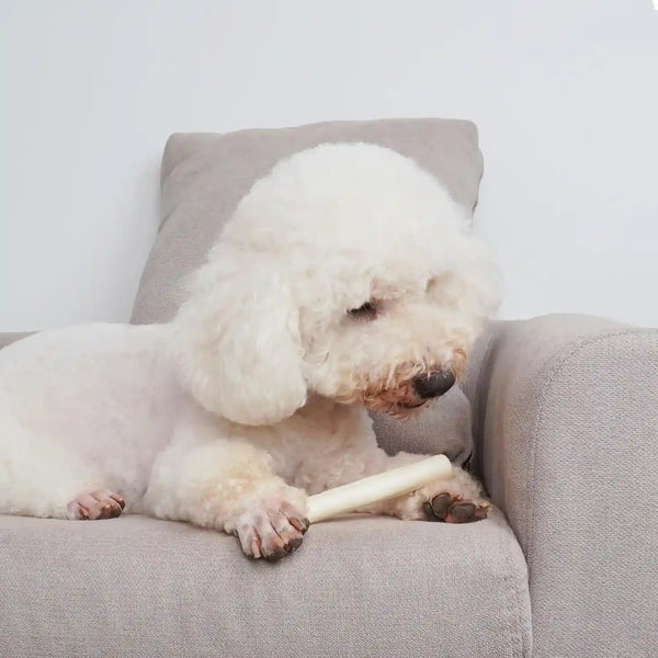 MON2SUN Dog Rawhide Rolls Twist Sticks Chew Treats Natural Flavor 6.5 Inch 40 Count for Puppy and Small Dogs4