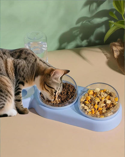 Cat Bowls Set，3 in 1 15°Tilt Water Feeder Bowls Cat Double Food Bowls with 500Ml Dispensing Bottle for Small & Medium Pets,Lightweight & Easy to Clean6
