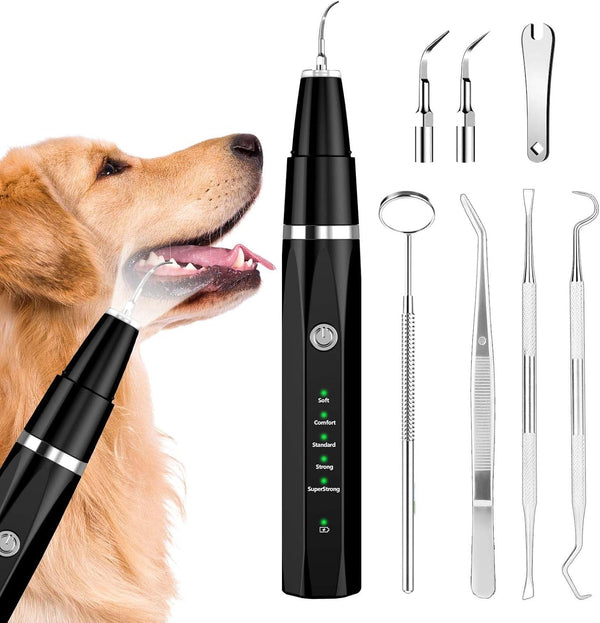 Ni-Shen Plaque Remover for Teeth - Pet Ultrasonic Cleaner - Teeth Cleaning Kit for Tartar and Stains - Suitable for Dogs and Cats (Black)1