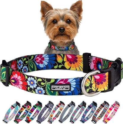 Lucky Love Dog - Easy Click Buckle Dog Collar with Leash Set Combo, Durable & Comfortable for Male & Female Dogs, Pet Collar for Medium Dogs, Secure Fit - Blackbird Combo, Medium63