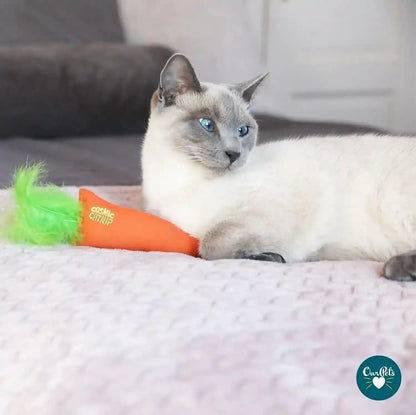 Ourpets 100-Percent North American Catnip Filled Carrot Cat Toy 24 Karat4