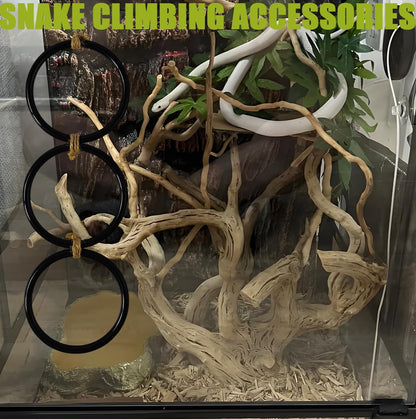 Snake Enrichment Toys Ball,Jungle Gym Ball and Enrichment Rings for Small Ball Python Corn Snakes,Reptiles Climbing Toy,Snake Exploring&Climbing Accessories4