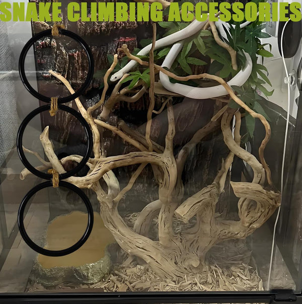 Snake Enrichment Toys Ball,Jungle Gym Ball and Enrichment Rings for Small Ball Python Corn Snakes,Reptiles Climbing Toy,Snake Exploring&Climbing Accessories4