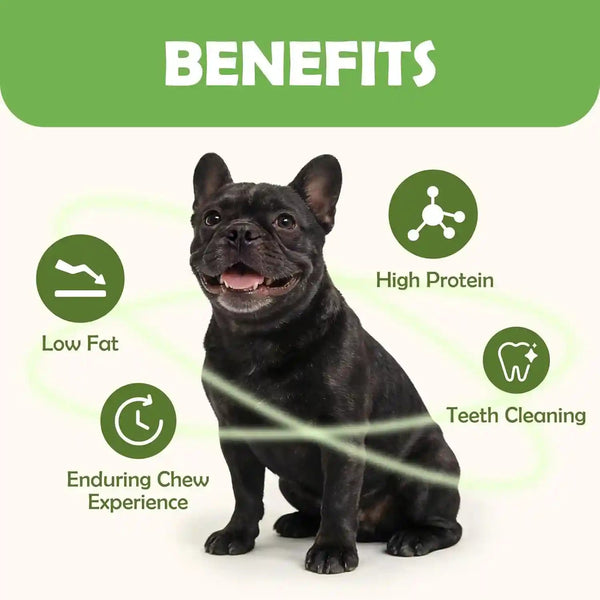 MON2SUN Dog Treats, 5 Inch Chicken Wrapped Rawhide Sticks, 14.11 Oz | Long-Lasting Chew Engagement, Dental-Friendly Chewing Support, Sized for Puppies and Small Dogs4