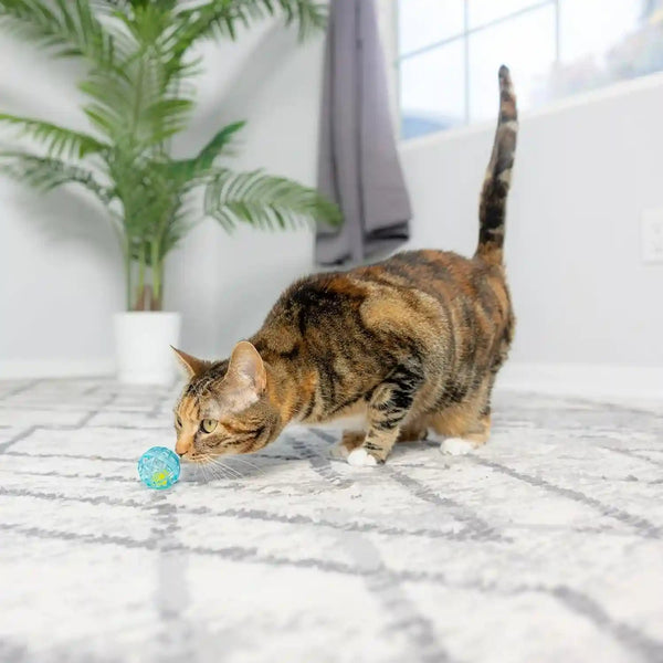 SPOT Lattice Balls Cat Toys - Durable, Fun Balls with Bells Perfect for Swatting and Batting, Colorful Toys to Entertain Indoor Cats and Kittens, - 1.5 Inch, 4 Pcs9
