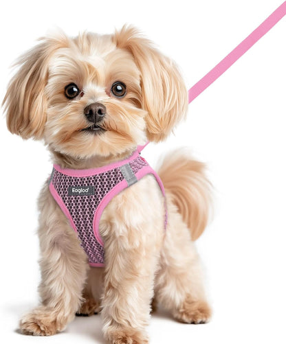 Eagloo Small Dog Harness and Leash Set, Step in Small Sized Puppy Pet Vest | Light, Soft, Breathable Air Mesh, Easy on and off with Hook & Loop, Reflective for Safe Walking, Pink, S29