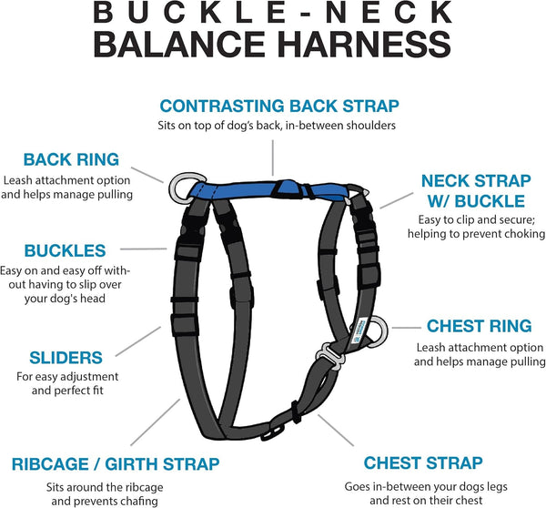 Blue-9 Buckle-Neck Balance Harness, Fully Customizable Fit No-Pull Harness, Ideal for Dog Training and Obedience, Made in the USA, Sky Blue, Medium2