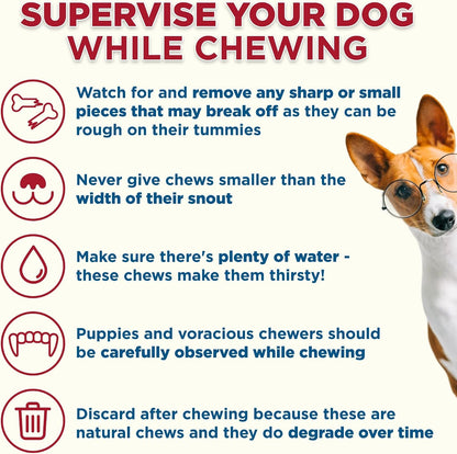 Best Bully Sticks Marrow Bones for Dogs, Large, 3 Count | Natural Beef Flavor, High Protein Dog Chews, Dog Bones for Aggressive Chewers, Single Ingredient, Great for Large Breeds5