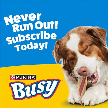 Purina Busy with Beggin' Dog Treats, Twist'D - 10 Count (Pack of 1)12