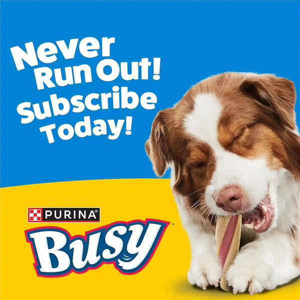 Purina Busy with Beggin' Dog Treats, Twist'D - 10 Count (Pack of 1)12