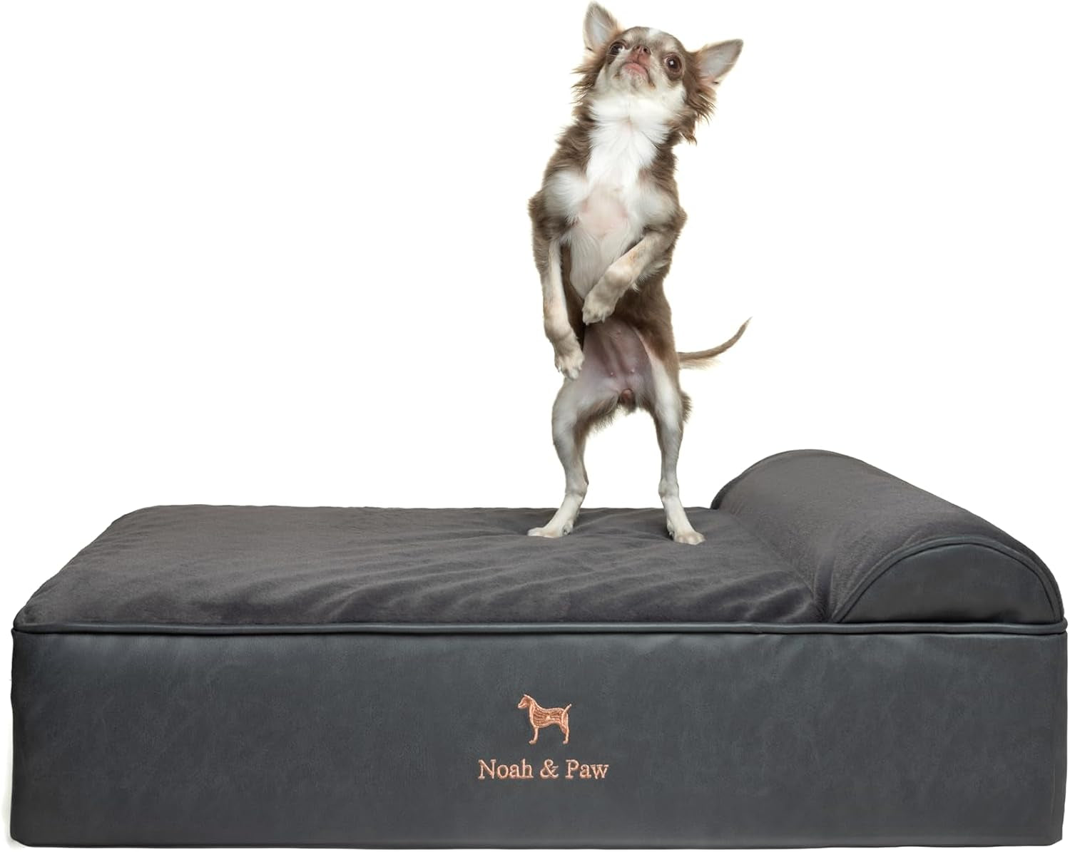noah-paw-large-dog-bed-35x25x8-7-inch-orthopedic-dog-beds-eggshell-memory-foam-infused-with-cooling-gel-water-resistant-machine-washable-includes-inner-cover-velvet-collection