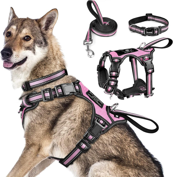 WINSEE Pet Harness Collar and Leash Set, All-In-One Reflective Dog Harness No Pull with Adjustable Buckles for Puppies, Small, Medium, Large, and Extra-Large Dogs (Large, Pink)12