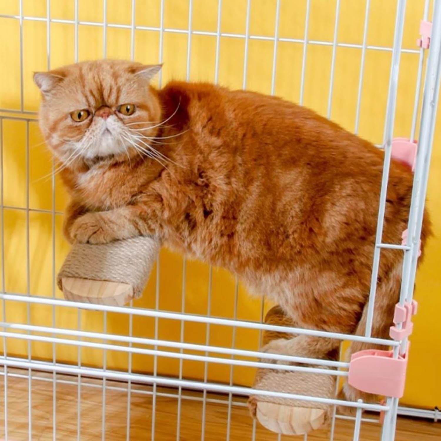 cat-climbing-steps-scratching-tree-2pcs-scratching-steps-sisal-hemp-cage-shelf-ladder-pets-perch-furniture-inside-the-cage-with-install-screws-s