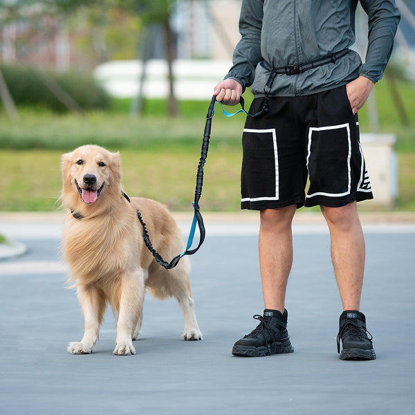 Iyoshop Hands Free Dog Leash with Zipper Pouch, Dual Padded Handles and Durable Bungee for Walking, Jogging and Running Your Dog (Large, 25-120 Lbs, Black)7
