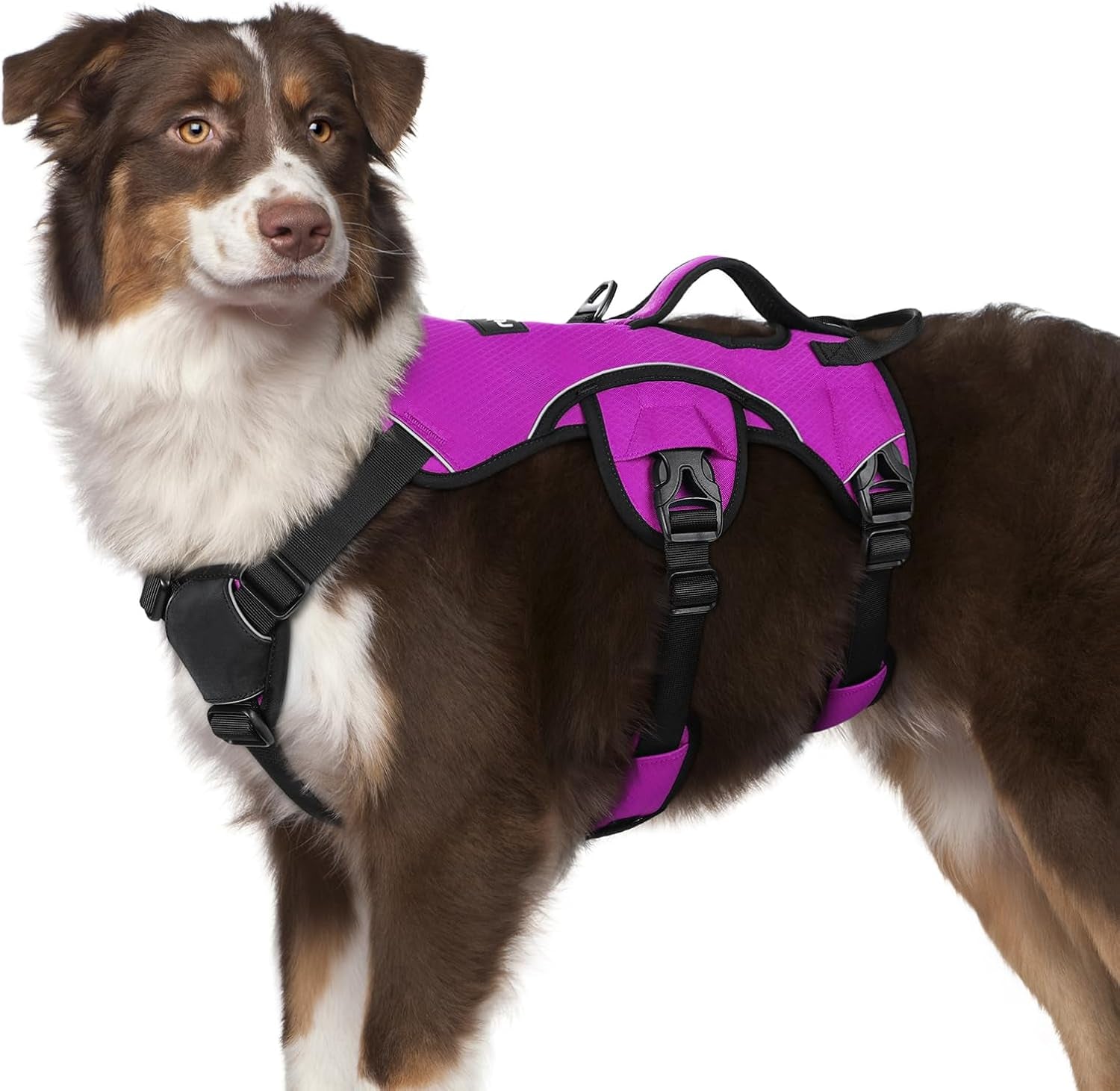 rabbitgoo-escape-proof-dog-harness-for-large-no-pull-with-lift-handle-no-escape-full-soft-padded-reflective-adjustable-vest-leash-clip-for-walking-hiking-training-black-large