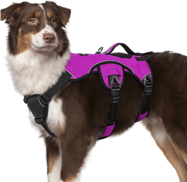Rabbitgoo Escape Proof Dog Harness for Large, No Pull with Lift Handle | No Escape, Full Soft Padded, Reflective Adjustable Vest, Leash Clip for Walking Hiking Training, Black, Large17