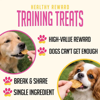 Sitstay Chicken Chips Dog Treats, Chicken Chips for Dogs - Single Ingredient Dog Treats - Dehydrated, 80% Protein Low Fat - Training Rewards - All Breeds & Life Stages - Made in USA - 4 Oz3