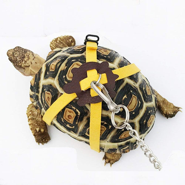Leather Harness Strap for Tortoise/Turtle Reptile Animals Size M | Crawling Pet Walking Training Control Rope Chest Collar1