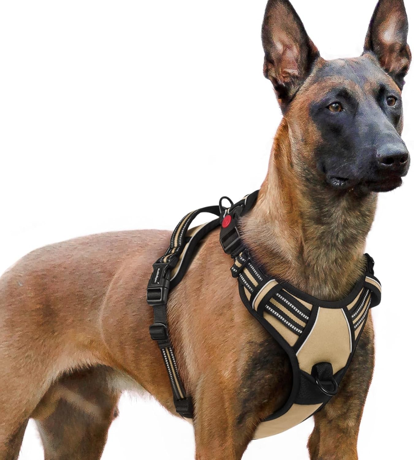 rabbitgoo-dog-harness-medium-sized-updated-easy-on-off-with-3-buckles-no-pull-no-choke-walking-with-2-clips-and-handle-adjustable-soft-reflective-blue-medium