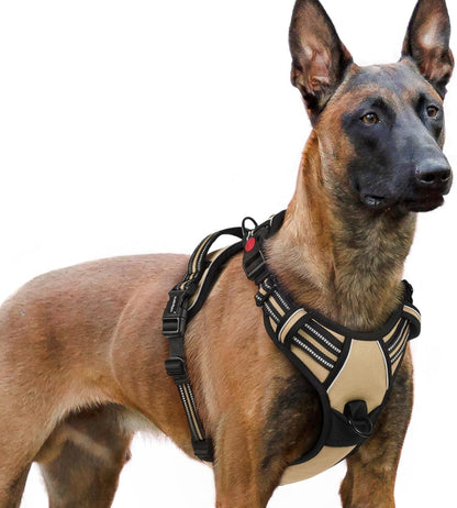 Rabbitgoo Dog Harness Medium Sized, Updated Easy on & off with 3 Buckles | No Pull No Choke, Walking with 2 Clips and Handle, Adjustable Soft Reflective, Blue, Medium41