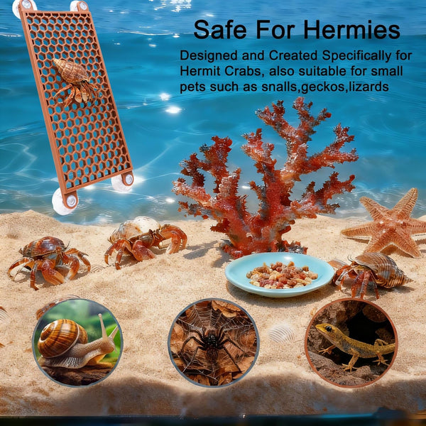 Hermit Crab Climbing Toy, Reptile Habitat Decor Exercise Playground Hermit Crab Accessories for Tank and Aquarium Decoration (Brown)5