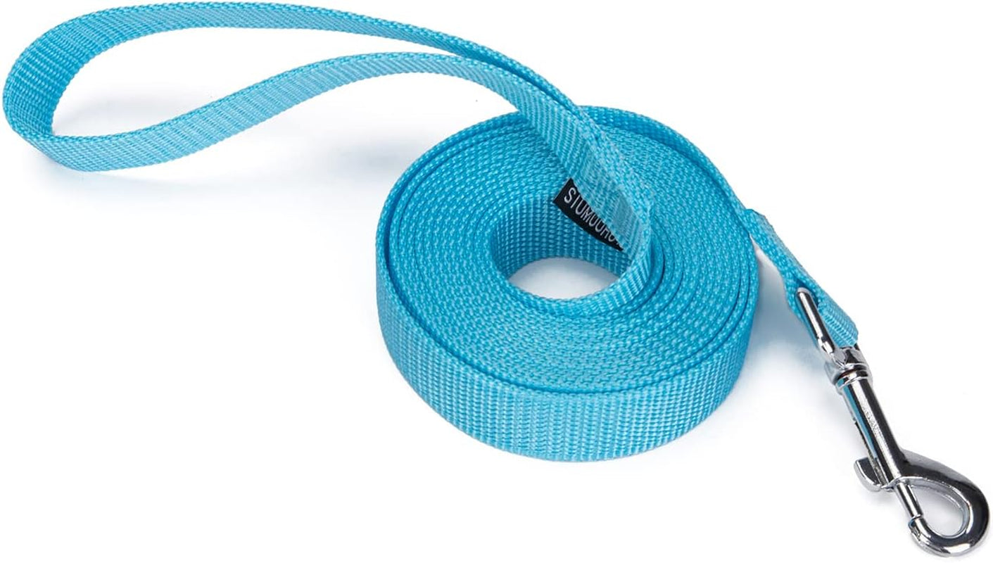 strong-durable-nylon-10ft-long-dog-training-leash-traction-rope-1-inch-wide-for-small-and-medium-dog-black-10-feet