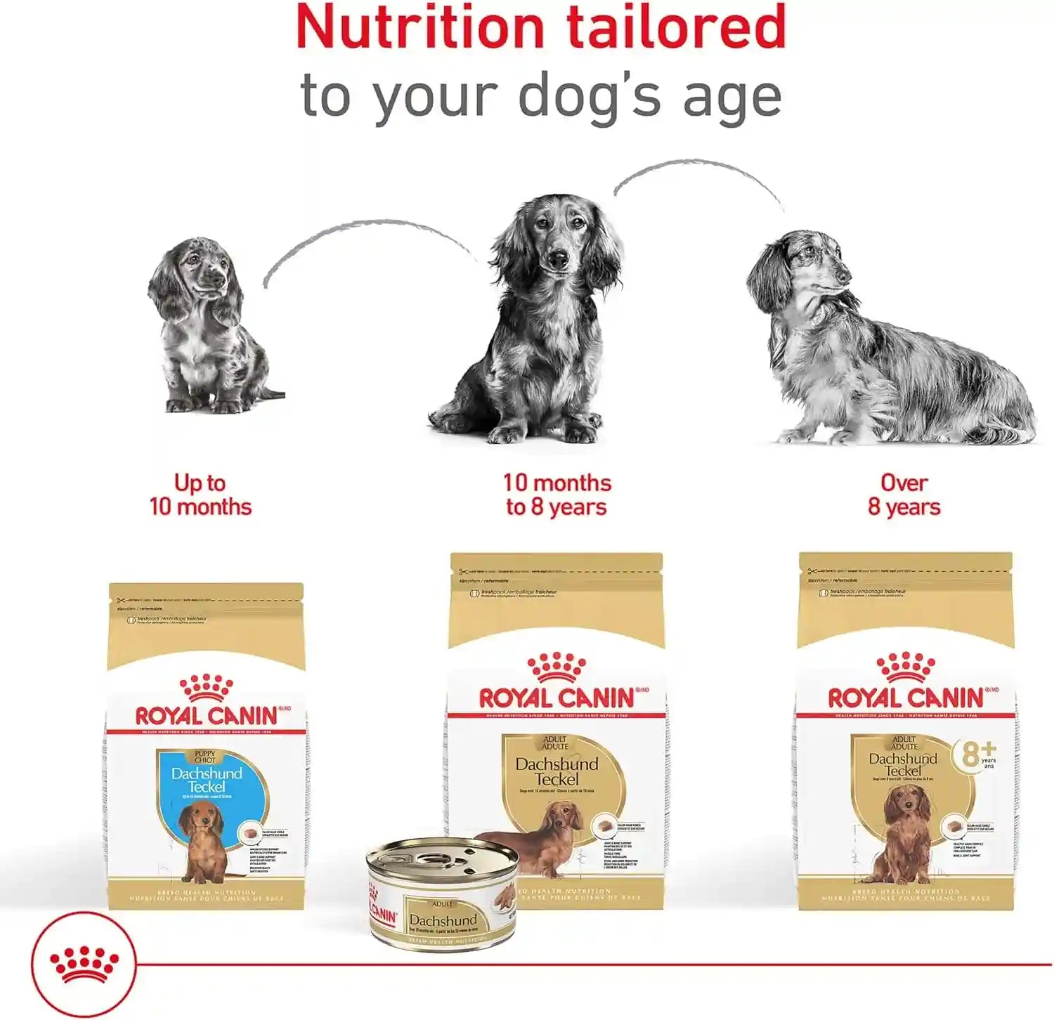 royal-canin-breed-health-nutrition-dachshund-puppy-dry-dog-food-2-5-lb-bag-specialized-nutrition-for-dachshund-puppies-supports-healthy-growth-tailored-kibble-shape-2-5-pound-bag