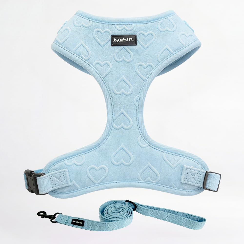 no-pull-harness-leash-set-for-small-sized-dogs-soft-padded-breathable-neoprene-harnesses-lightweight-adjustable-step-in-vest-with-cute-heart-print-secure-back-d-ring-neck-13-17-chest-16-21