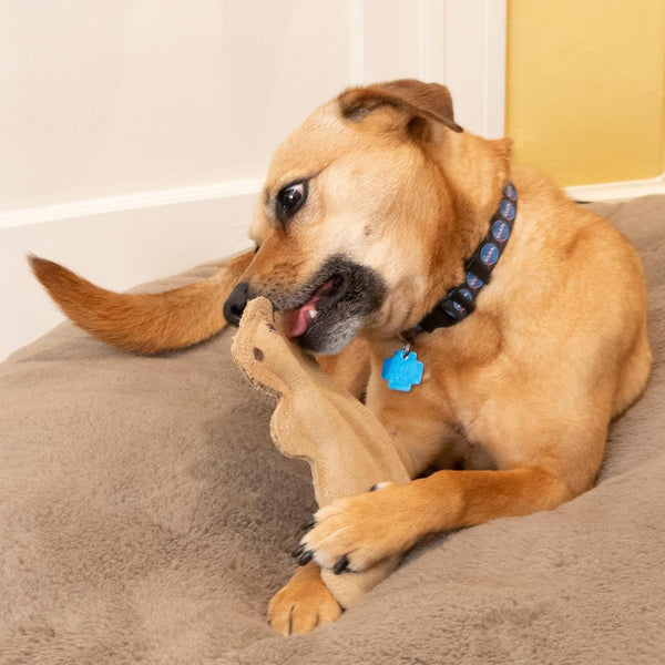 SPOT Dura-Fused Leather Squirrel Dog Toy – Real Leather & Jute Fabric, Double-Stitched & Durable, Soft Stuffed Squeaky Interactive Chew Toy for Moderate Chewers, Small & Medium Dogs, 8In16