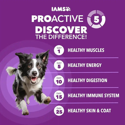 IAMS Advanced Health Skin & Coat Dry Dog Food, Chicken & Salmon, 27 Lb | Vet-Recommended, Omega 6:3 Fatty Acids, Zinc & Vitamin E, Real Chicken #1 Ingredient, Real Salmon, No Artificial Flavors2