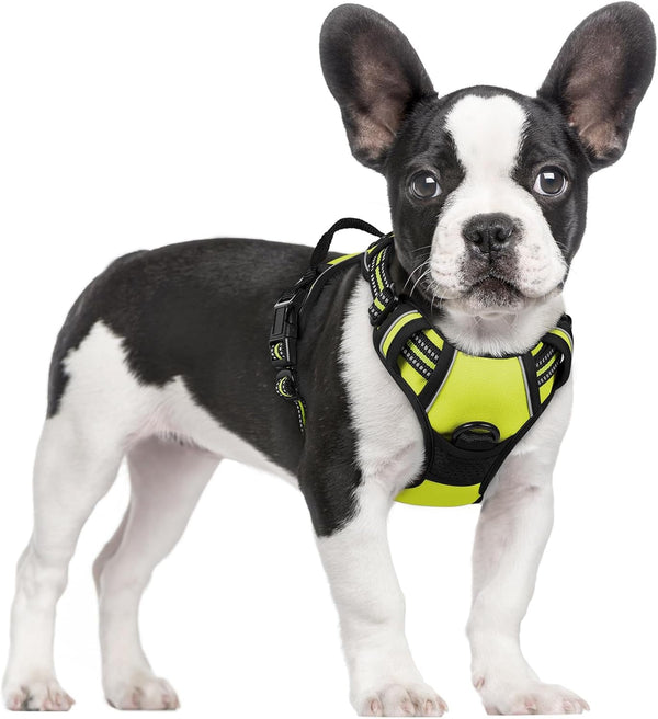 Rabbitgoo Dog Harness, No Pull for Large Dogs with 2 Leash Clips, Pet Vest | No Choke with Handle, Adjustable Soft Padded, Reflective, Easy Control for Walking, Black, Large97