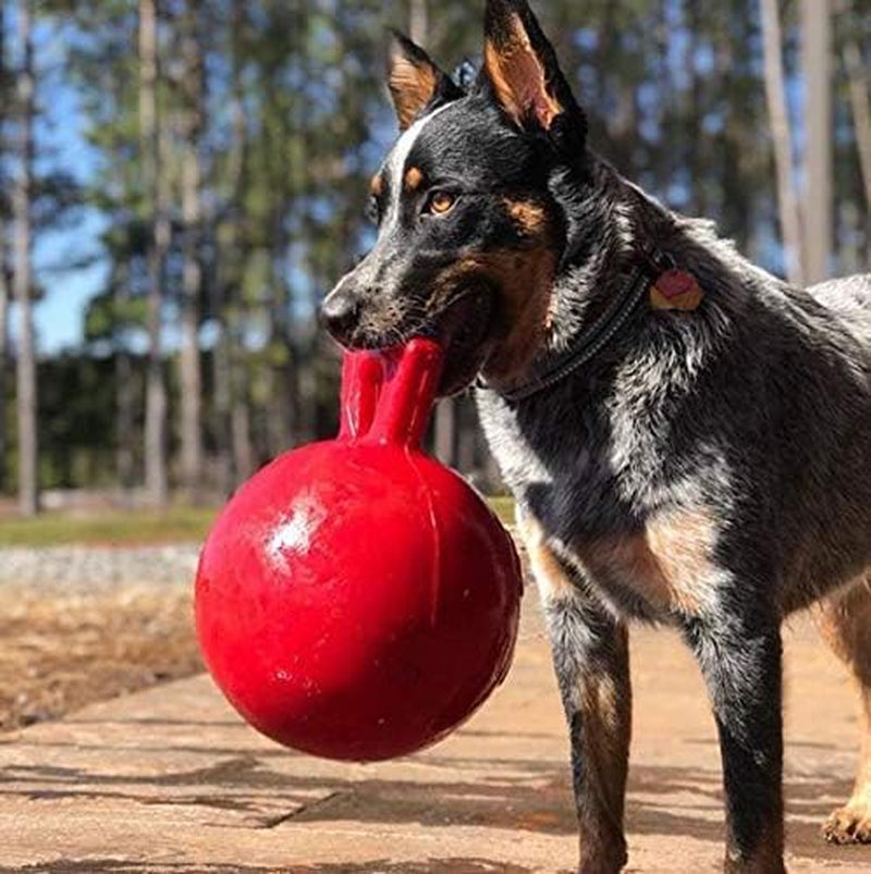 jolly-pets-tug-n-toss-heavy-duty-dog-toy-ball-with-handle-8-inches-large-red-408-rd