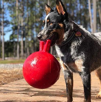 Jolly Pets Tug-N-Toss Heavy Duty Dog Toy Ball with Handle, 8 Inches/Large, Red (408 RD)2
