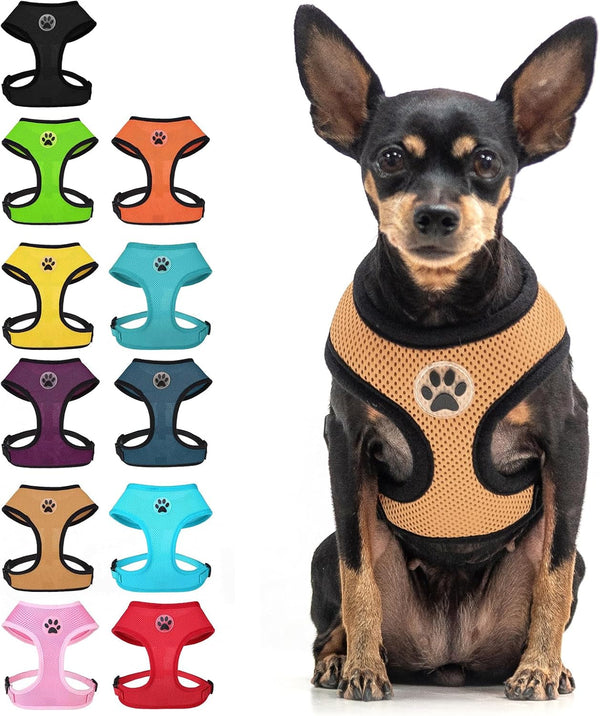 BINGPET Small Dog Harness, No Pull Dog Harness Small Sized Dogs, Soft Light Breathable Mesh Puppy Vest with Safety Buckle-Adjustable Step in Pet Harnesses for Easy Walking, Running, Training13
