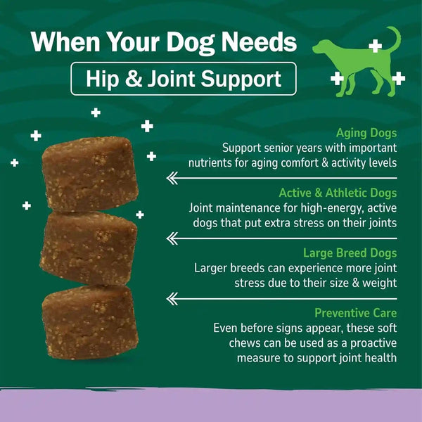 Petnc Natural Care Hip and Joint Soft Chews for Dogs, 90 Count - 27591 | Glucosamine Chondroitin MSM Dog Chews with Hyaluronic Acid, Liver Flavored Bone & Joint Support Supplement, for All Breeds4