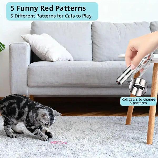 Waputne Cat Toy for Indoor Cats, 2 Pieces, USB Rechargeable Kitten Toys with 7 Adjustable Patterns, Interactive Chase Toys for Indoor Cats & Dogs, Training & Exercise Fun4