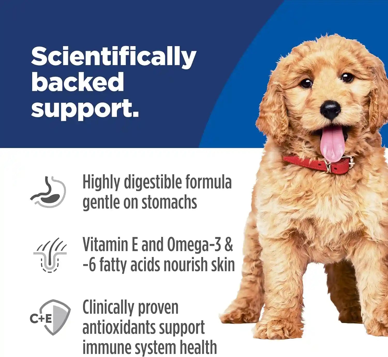 hills-science-diet-puppy-sensitive-stomach-skin-dry-dog-food-1-veterinarian-recommended-salmon-brown-rice-4-lb-bag