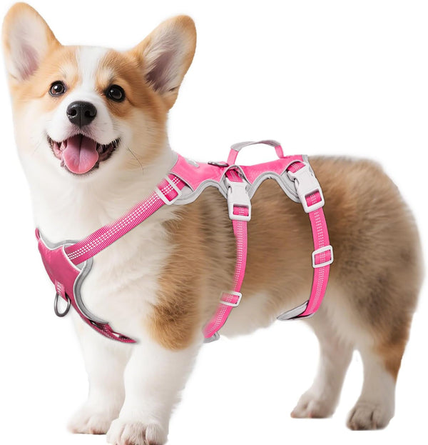 Huntboo Escape Proof Dog Harness, Escape Artist Harness, Reflective Harness with Padded Handle, Breathable, Durable, Adjustable Vest for Medium Dogs Walking, Training, and Running Gear (Blue, M)20