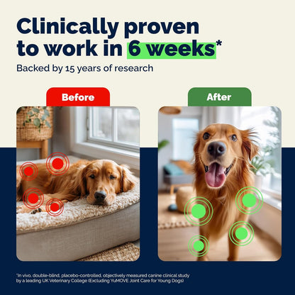 Yumove Adult Dog Hip & Joint Supplement Chews Green Lipped Mussel 300Ct | Glucosamine, Hyaluronic Acid & Omega 3 for Mobility Joint Supplement, Barbecue Daily Chews, NASC Certified3