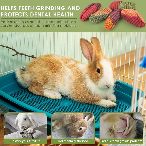 ERKOON Chinchilla Treats, Timothy Grass Chew Toys for Teeth for Rabbit Guinea Pig Gerbil Rat Dwarf Hamster (Large Size-1 Pack)5