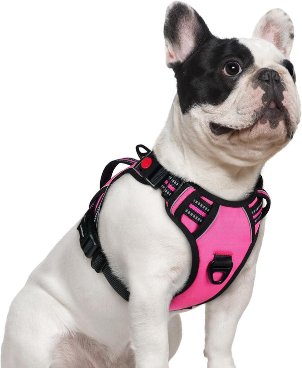 Rabbitgoo Large Dog Harness, Easy Wear with 3 Buckles and Lift Handle | No Pull with Front Clip for Walking, Adjustable Soft Padded, Reflective, Easy Control, Pink, Large12