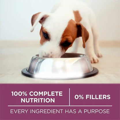 Purina ONE plus Healthy Puppy Formula High Protein Natural Dry Puppy Food with Added Vitamins, Minerals and Nutrients - 8 Lb. Bag9
