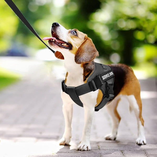 Voopet Service Dog Harness, Emotional Support Pet Vest Harness, Reflective Breathable & Adjustable No Pull ESA Harness for Small Medium Large Dogs (With 4 PCS Removeable Tags),Xx Small (Pack of 1)2