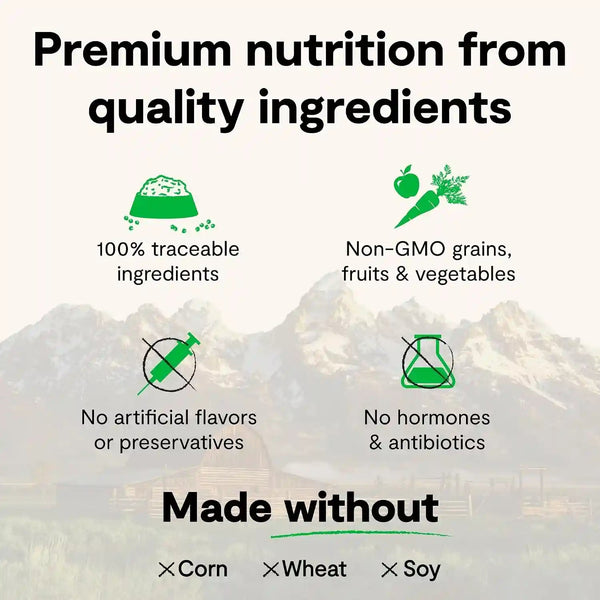 Open Farm Rawmix Ancient Grains Dry Dog Food, Wild Ocean Kibble, 20Lb Bag | Wild-Caught Whitefish, Salmon and Rockfish, Freeze Dried Raw Chunks, 100% Traceable Ingredients, Non-Gmo Fruits & Veggies.6