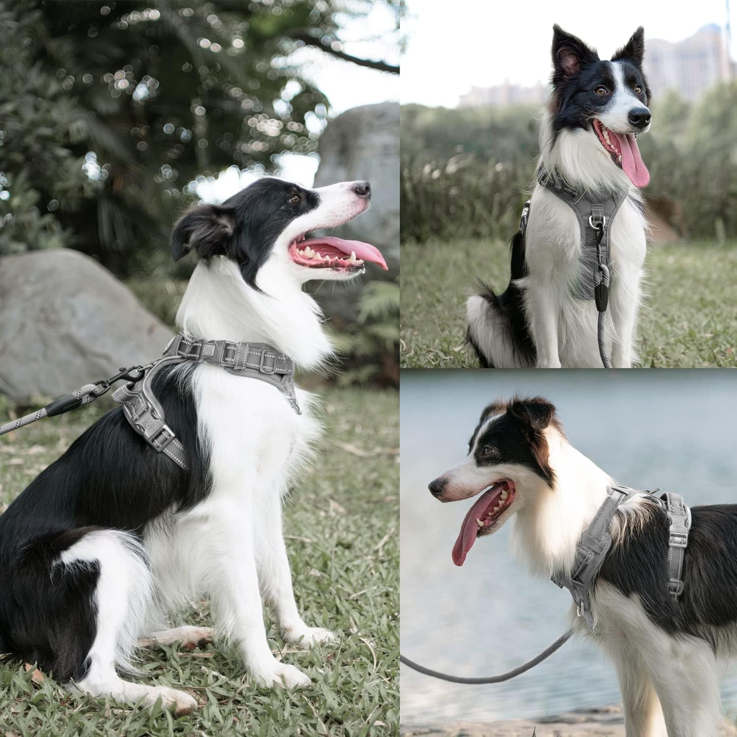 poypet-no-pull-dog-harness-and-5-feet-leash-set-release-on-neck-reflective-adjustable-pet-vest-front-back-2-d-ring-and-soft-padded-pet-harness-with-handle-for-small-to-large-dogsgrey-l