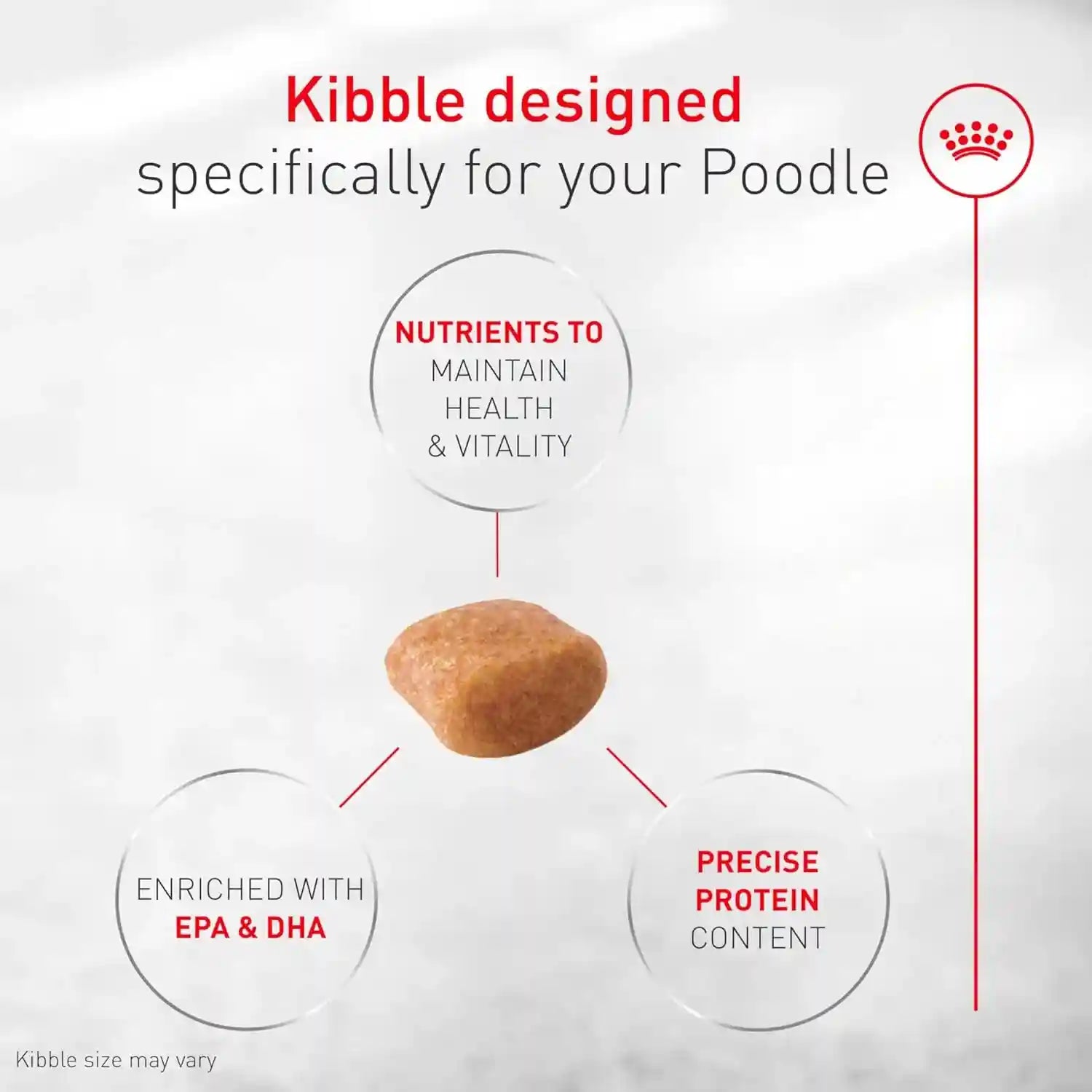 royal-canin-breed-breed-health-nutrition-poodle-adult-dry-dog-food
