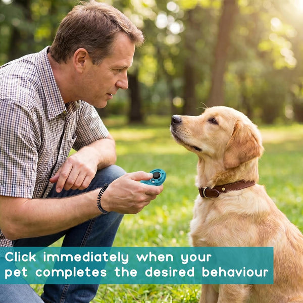 Dog Training Clicker with Sring Wrist and Keyring - Pet Dog Training Clickers for Puppy, Cat, Potty, Bird, Horse, Pet, Trainer Training Tools, Behavior Aids6