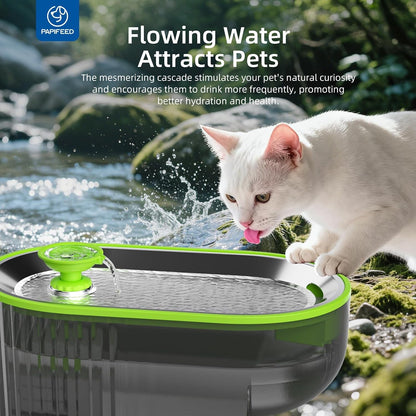 PAPIFEED Cat Water Fountain Stainless Steel with a Silicone Mat, 84Oz/2.5L Automatic Pet Water Fountain with LED Water Level Window, Quiet Low Power Cat Water Bowl & Cat Water Dispenser (Green)4