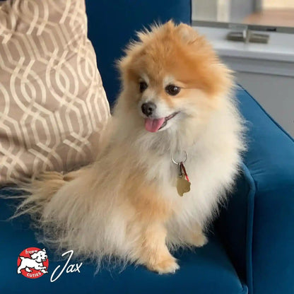 Fromm Small Breed Adult Gold Premium Dry Dog Food - Dry Adult Dog Food for Small Breeds - Chicken Recipe - 5 Lb10