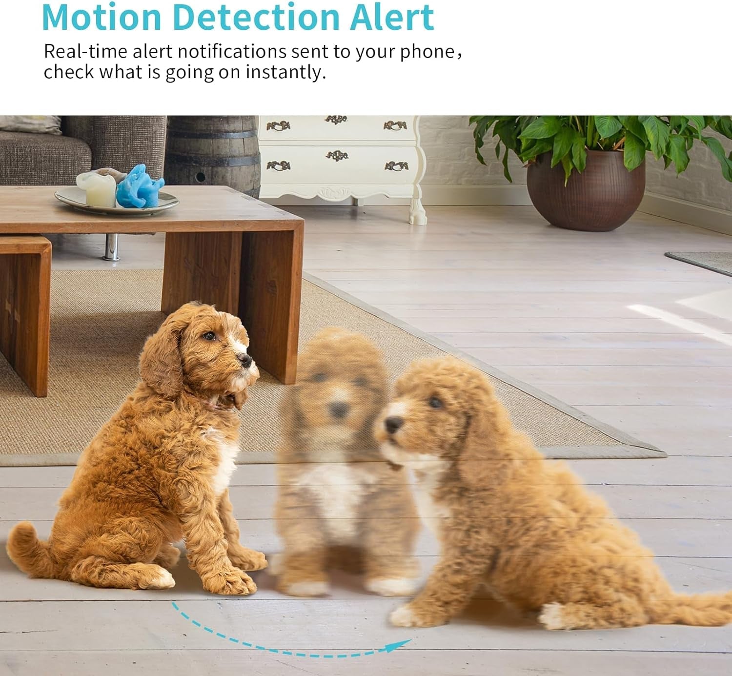 pet-camera-2k-hd-dog-camera-with-phone-app-360-pan-tilt-view-puppy-cam-one-click-call-for-baby-monitor-magivpix-night-vision-motion-tracking-alarm-with-cloud-local-sd-home-indoor-security-cam